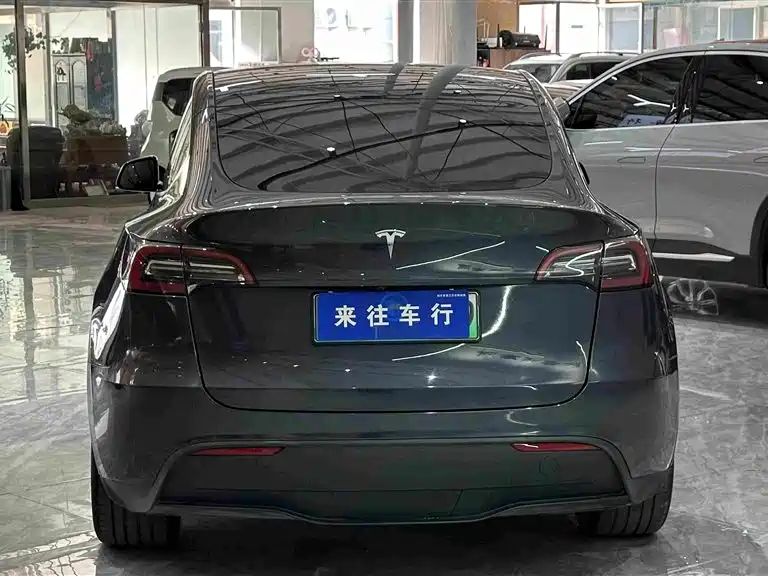 Tesla Model Y — миниатюра 6