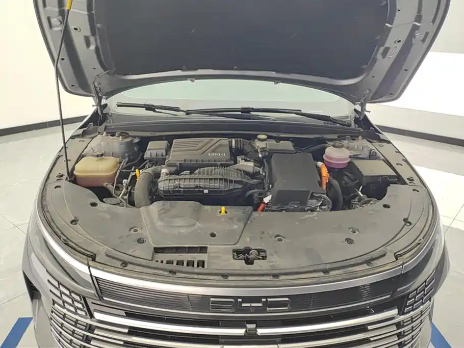BYD Destroyer 05 2023 Champion DM-i 55KM Luxury
