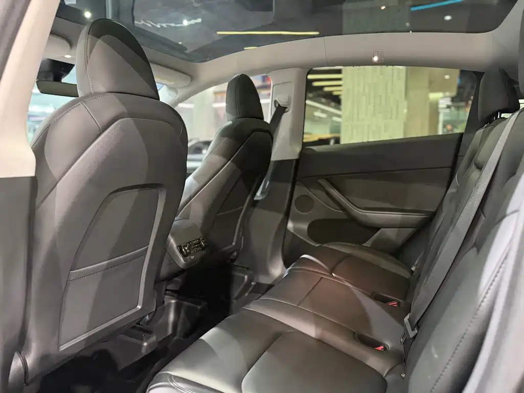 Tesla Model Y — миниатюра 6