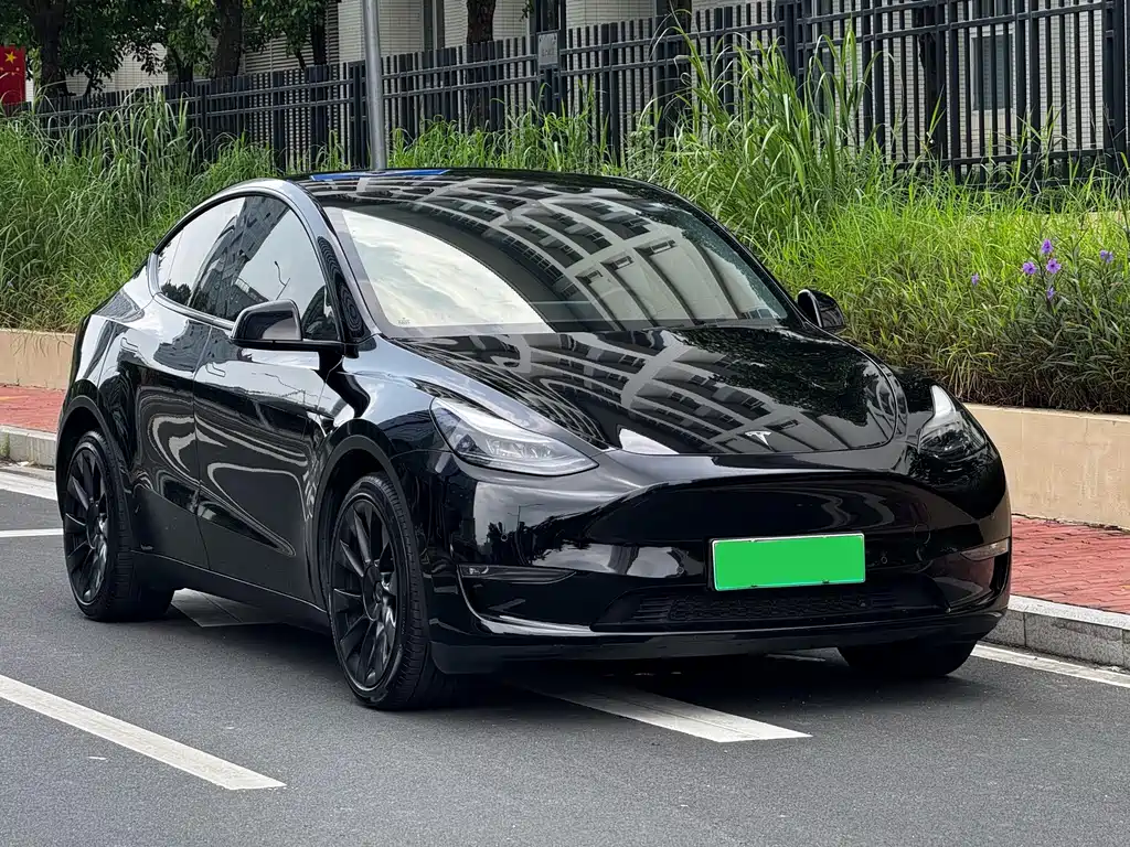Tesla Model Y — миниатюра 3