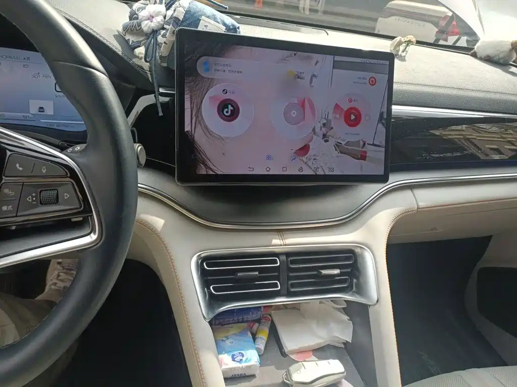 BYD PLUS New Energy — миниатюра 6