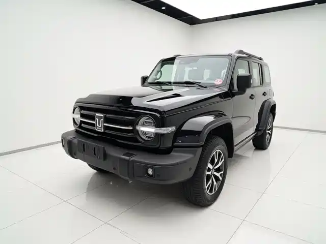 2023 TANK 300
