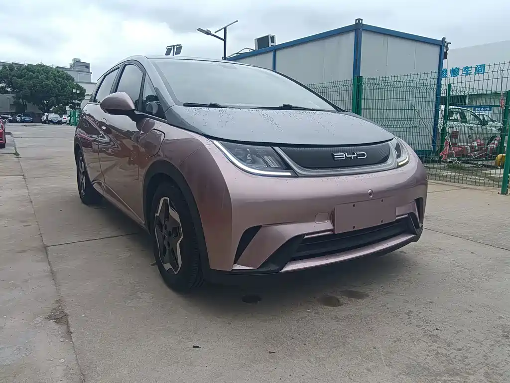 BYD Dolphin — миниатюра 2