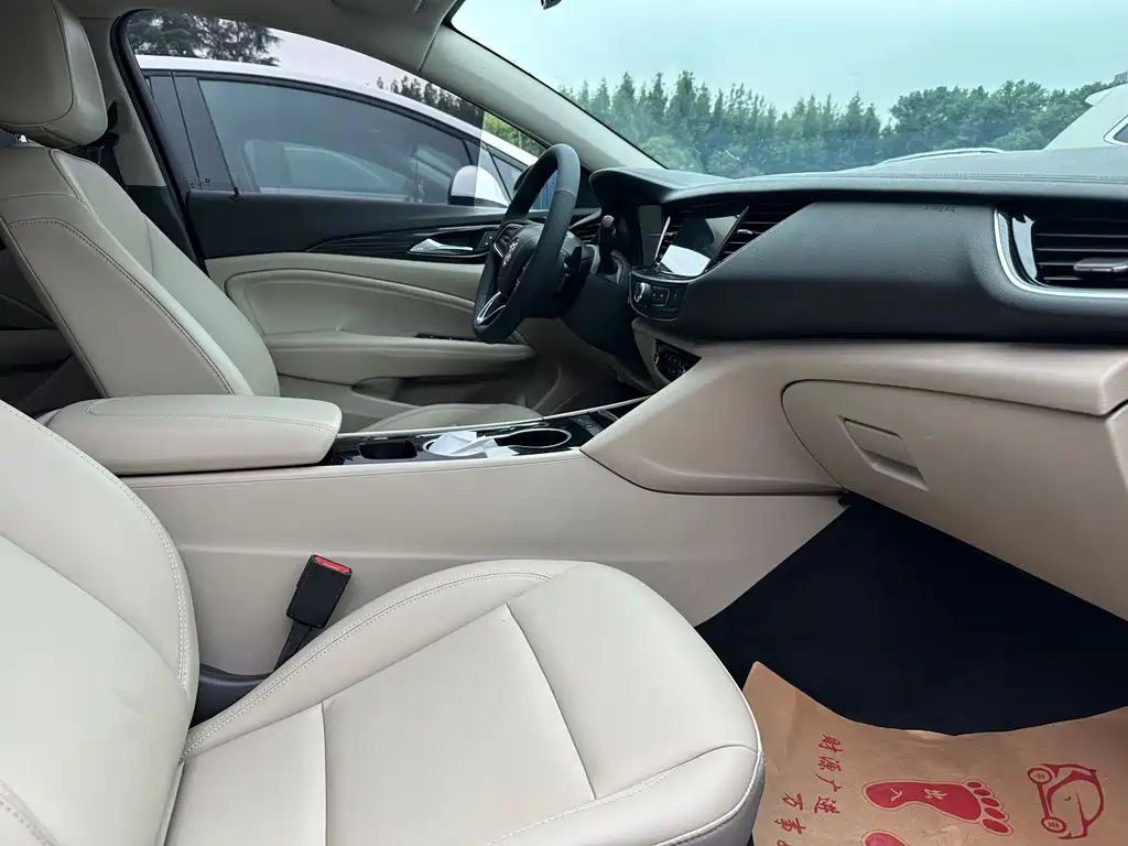 Buick Regal — миниатюра 15