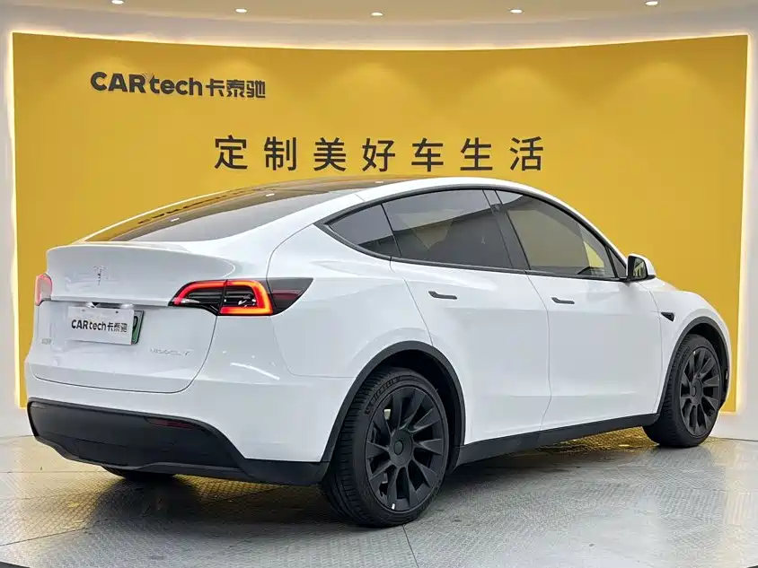 Tesla Model Y — миниатюра 3