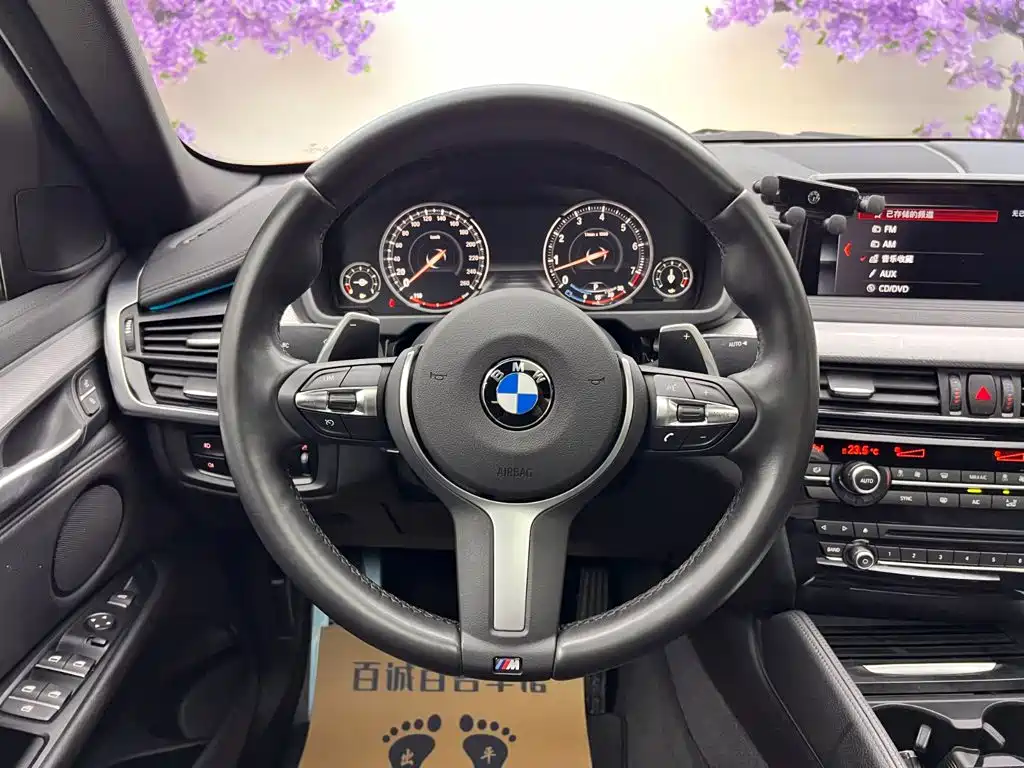 BMW X6 — миниатюра 14