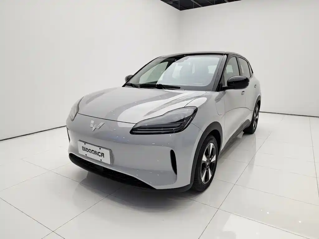 Wuling BinguoPLUS PLUS 2024 510km мест