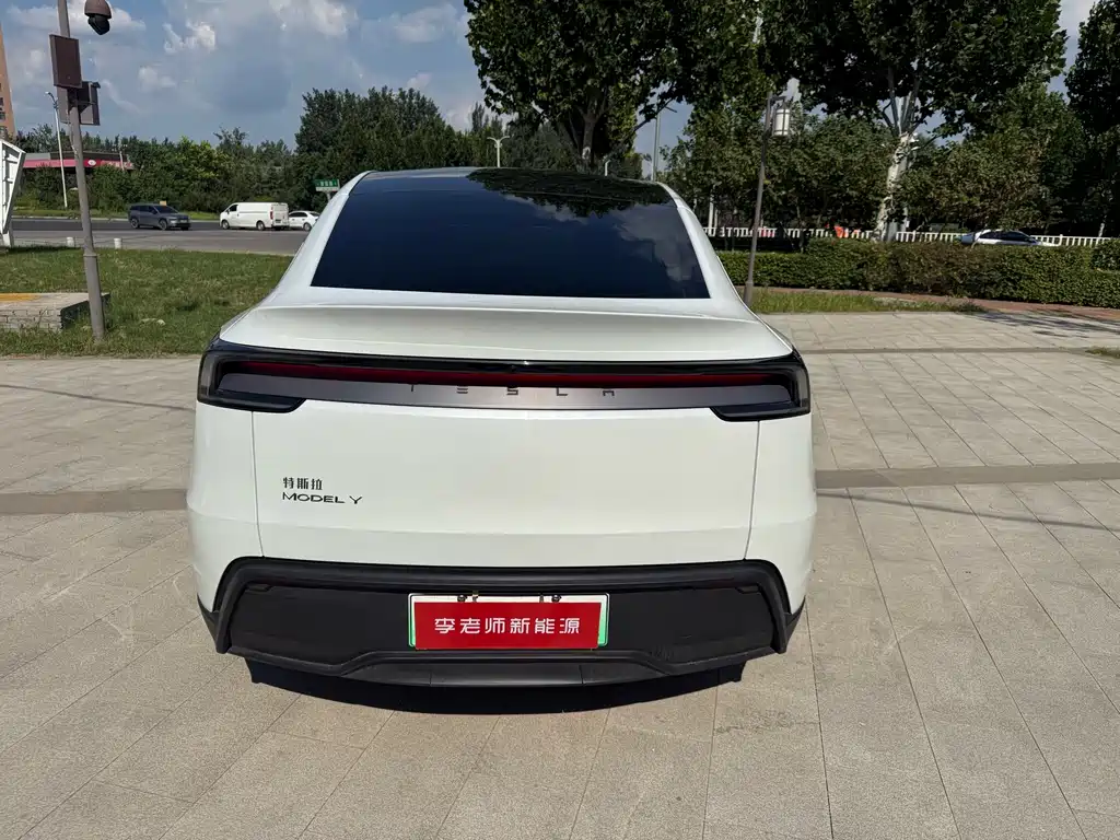 Tesla Model Y — миниатюра 7