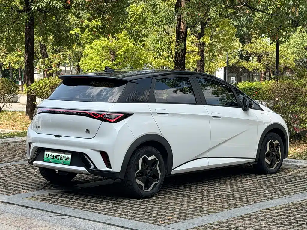 BYD Dolphin 2021 — фото 14