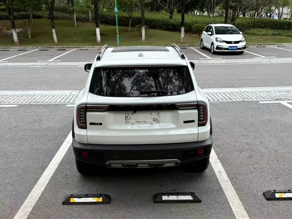 Haval Big Dog — миниатюра 12