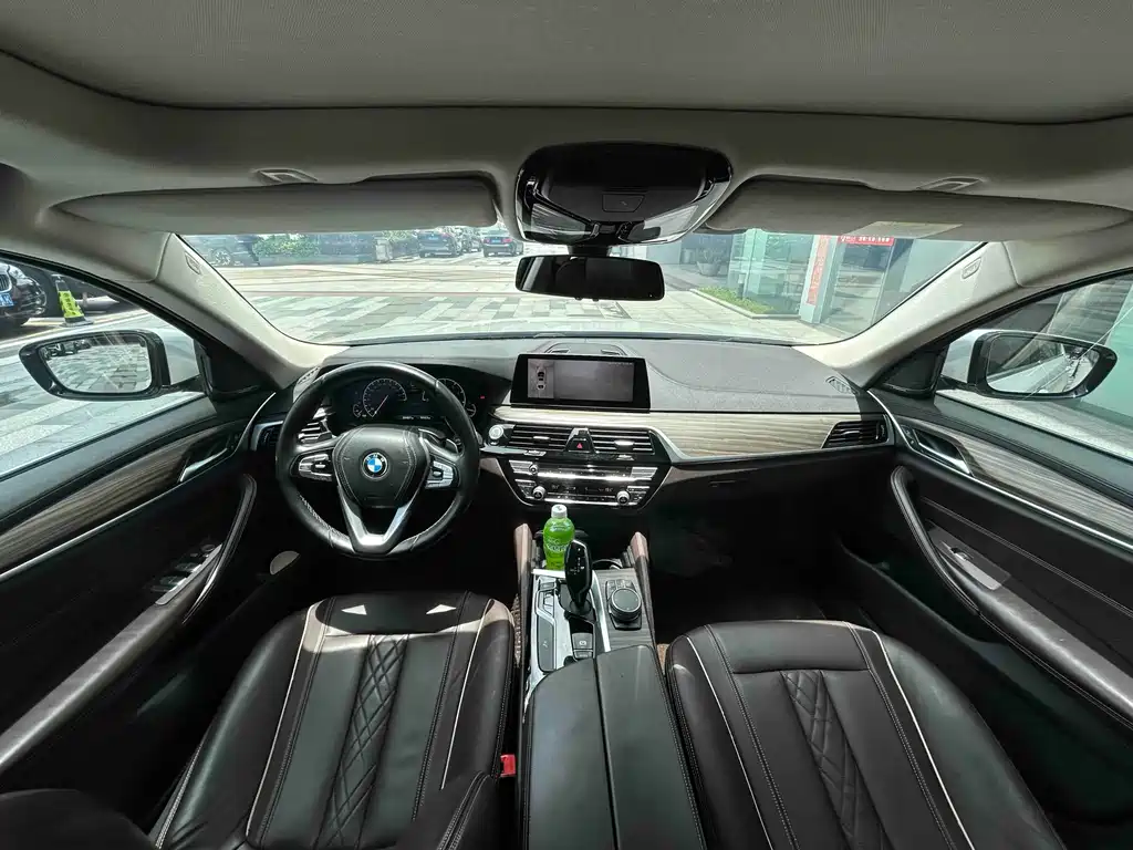 BMW 5 Series 5 2019 530Li Lead Luxury