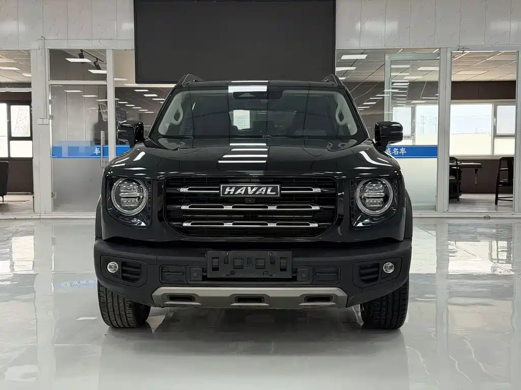 Haval Big Dog — миниатюра 2