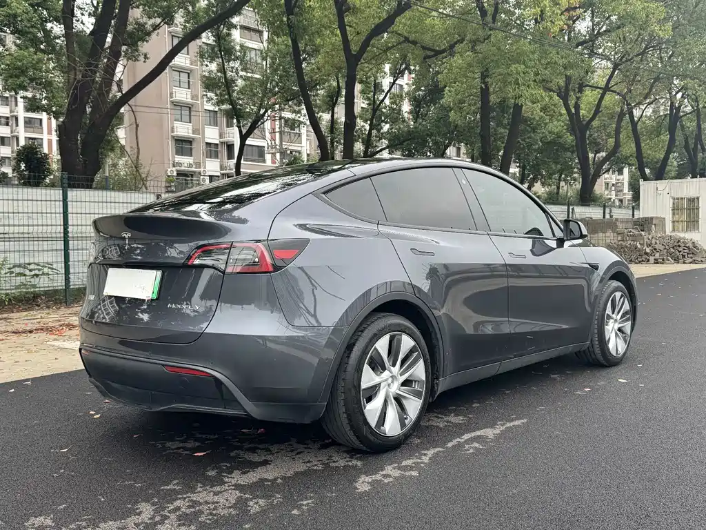 Tesla Model Y — миниатюра 14