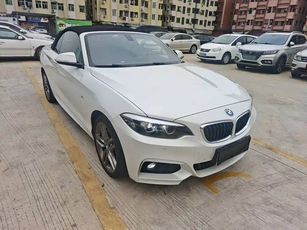 BMW 2 Series 2 2018 225i M Sport