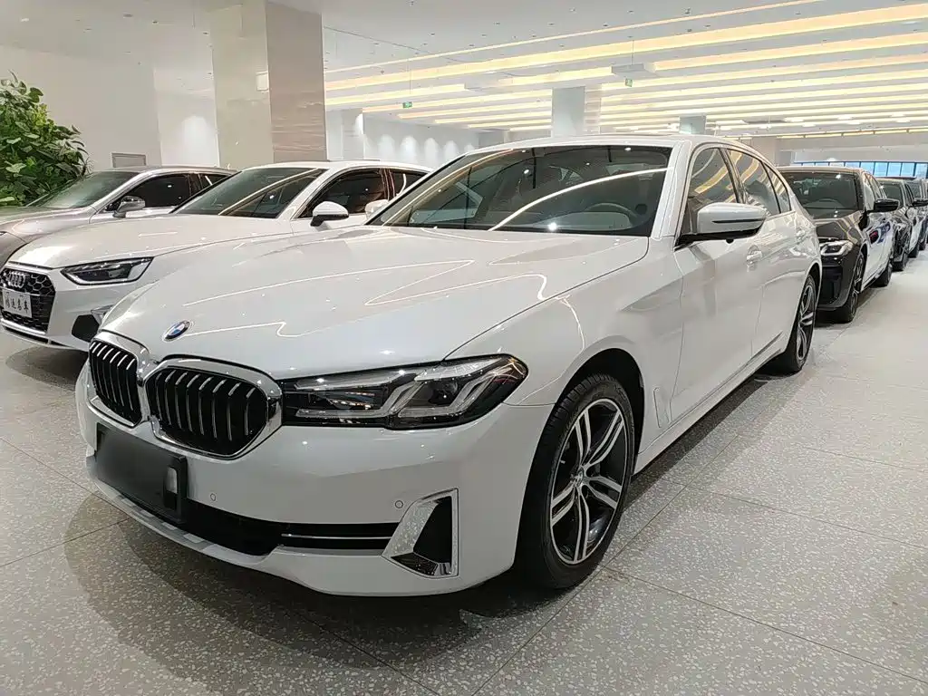 BMW 5 Series 5 2022 530Li xDrive Luxury