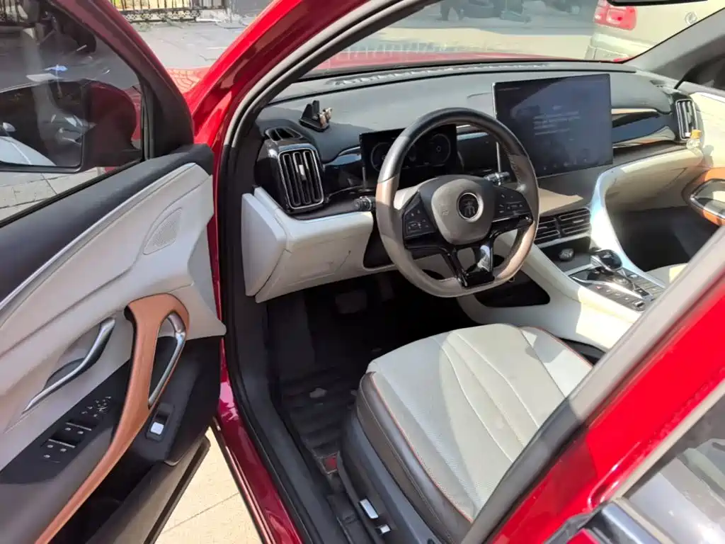 BYD Pro New Energy — миниатюра 16