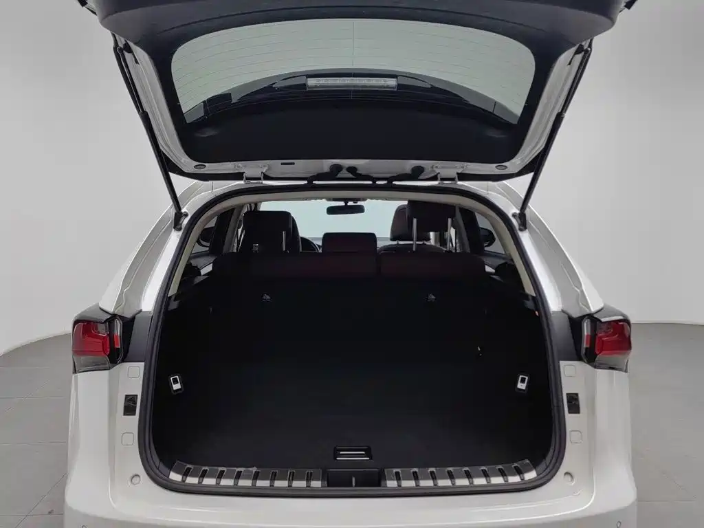 Lexus NX — миниатюра 16
