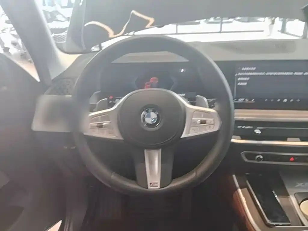 BMW X5 — миниатюра 11