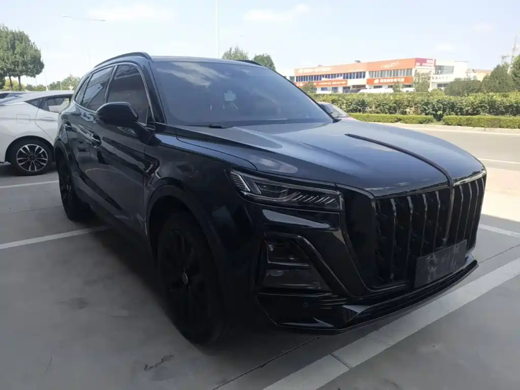 Hongqi Hongqi HS5 — миниатюра 4