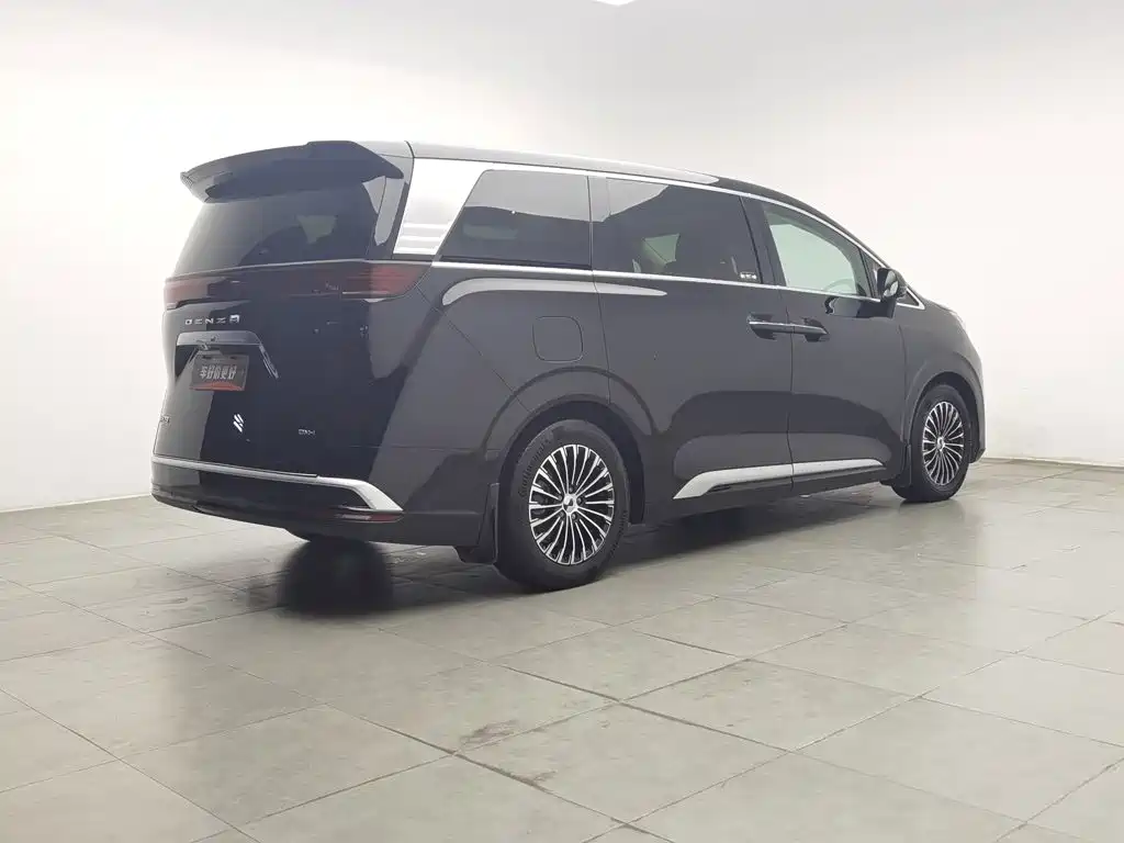 Denza Denza D9 — миниатюра 2