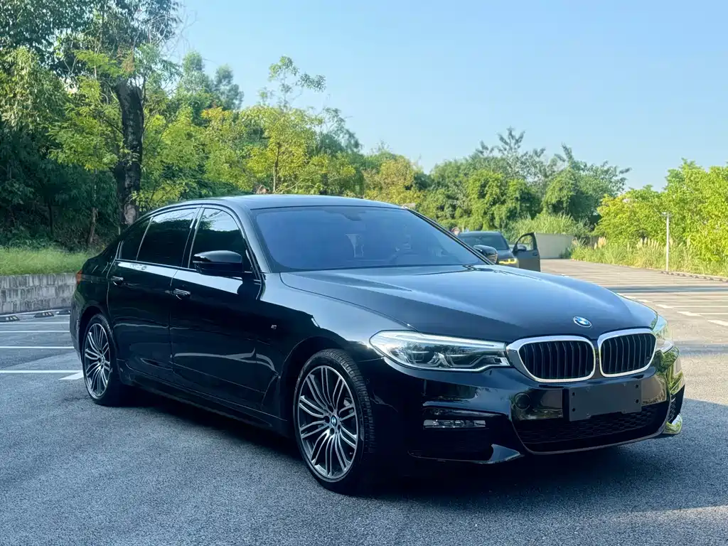 BMW 5 Series — миниатюра 2