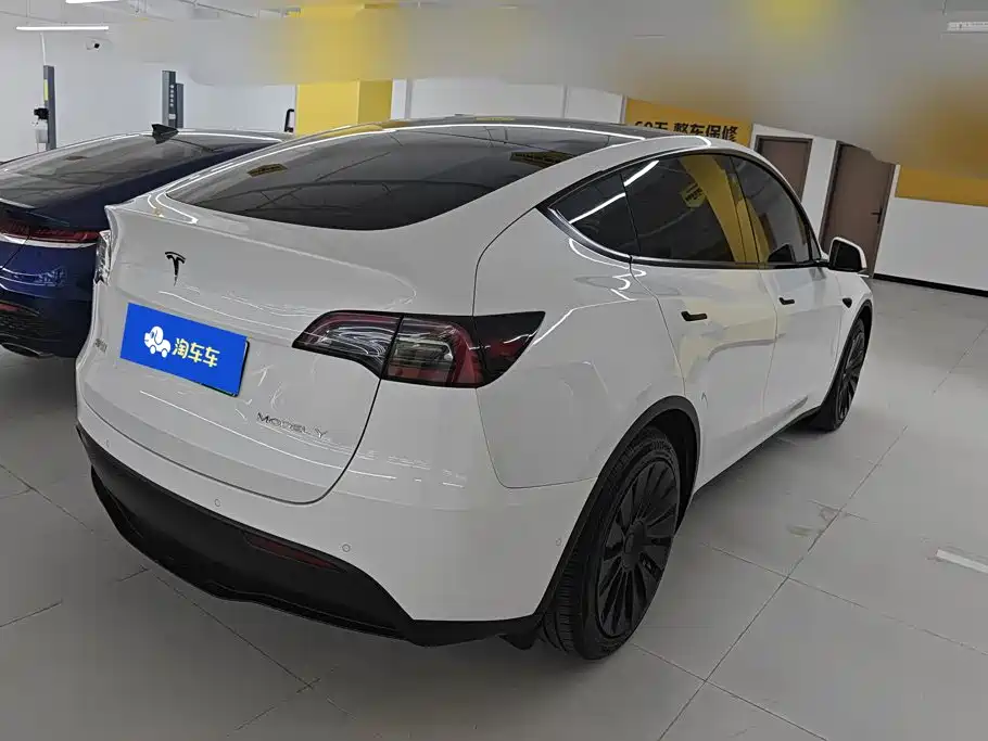 Tesla Model Y — миниатюра 3