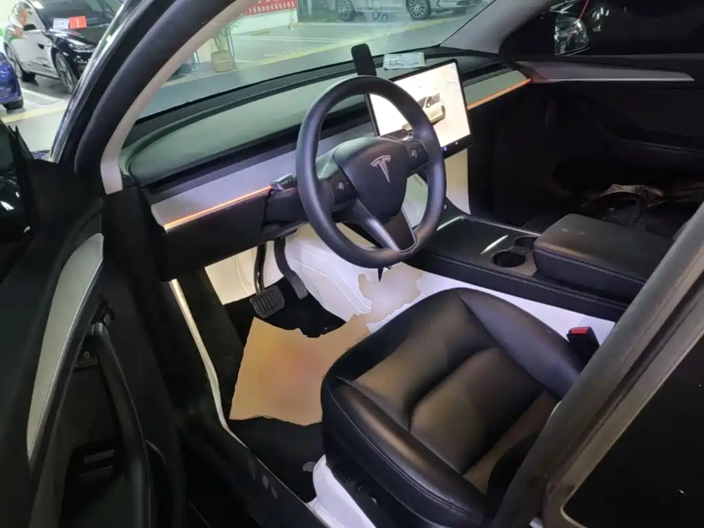 Tesla Model Y — миниатюра 16