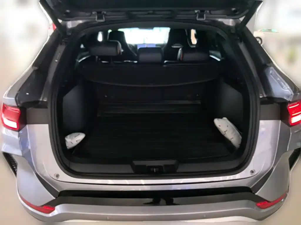 BYD PLUS New Energy — миниатюра 24