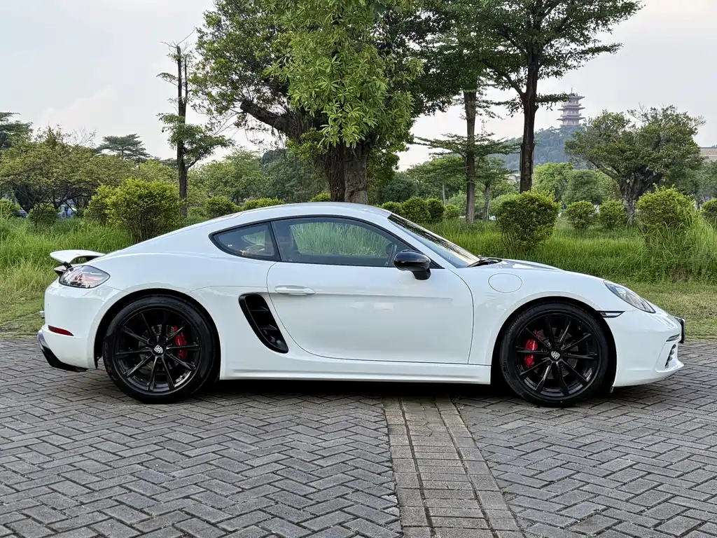 Porsche 718 — миниатюра 13