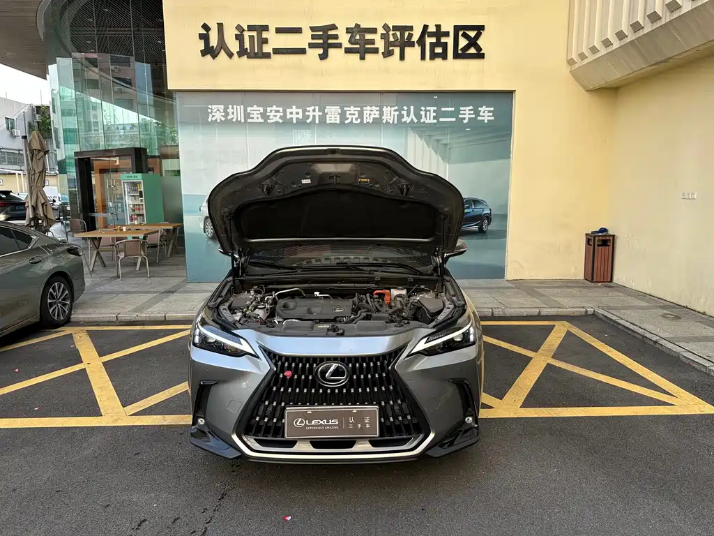 Lexus NX New Energy — миниатюра 5