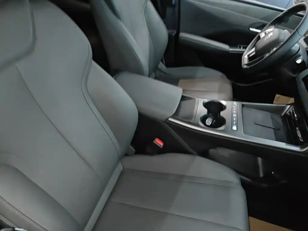 BYD Qin PLUS — миниатюра 25