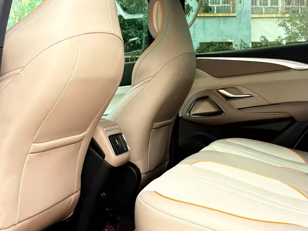 BYD Pro New Energy — миниатюра 6