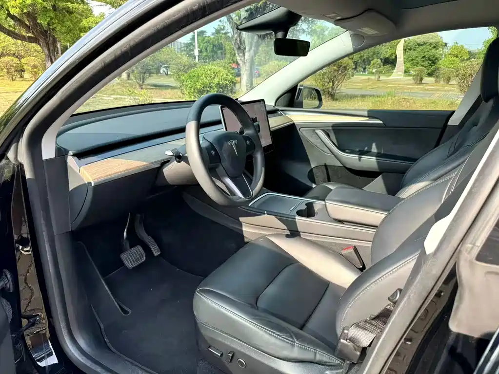 Tesla Model Y — миниатюра 5