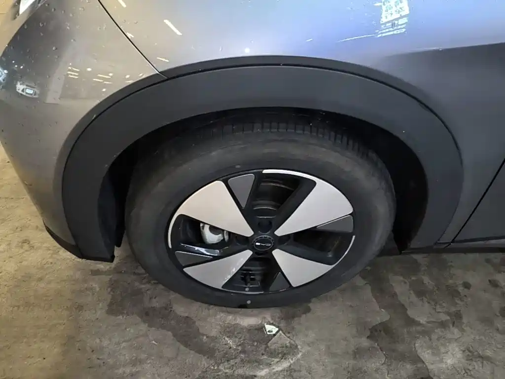BYD Dolphin — миниатюра 23