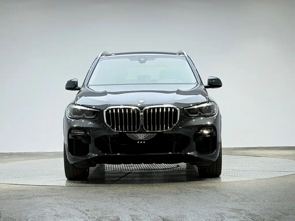BMW X5 (Import) — миниатюра 2