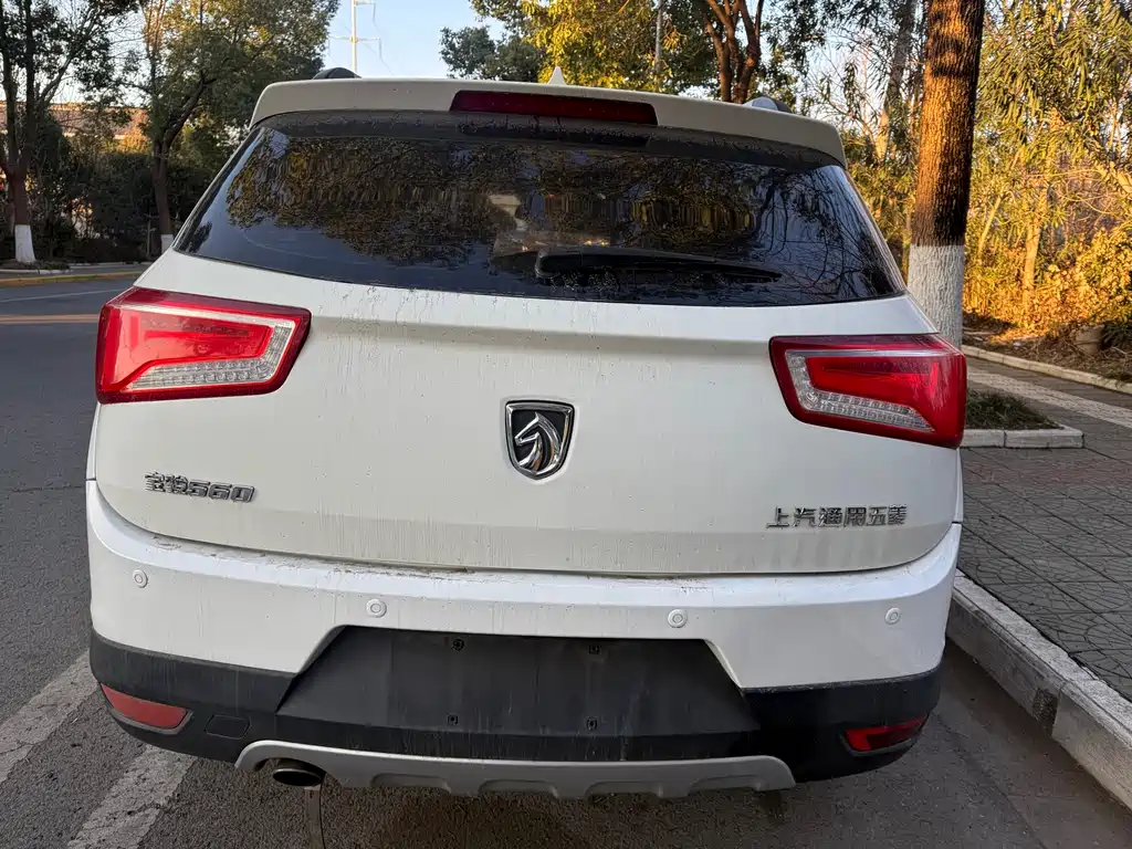 BAOJUN 560