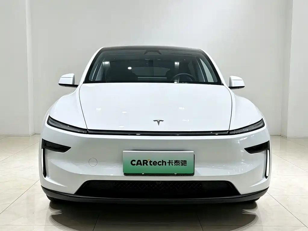 Tesla Model Y — миниатюра 2