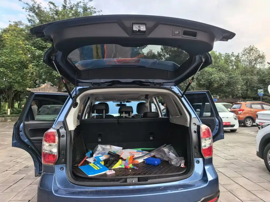 Subaru Forester — миниатюра 19