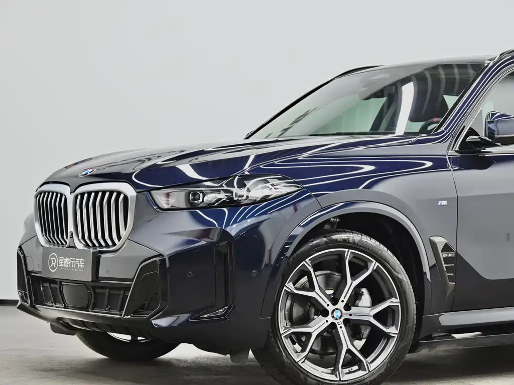 BMW X5 — миниатюра 25