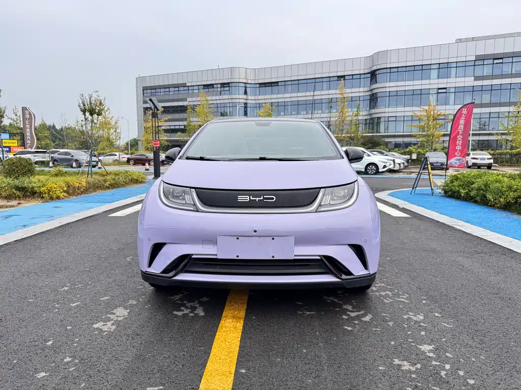 BYD Dolphin — миниатюра 2