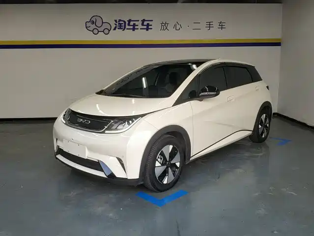 BYD DOLPHIN 2024