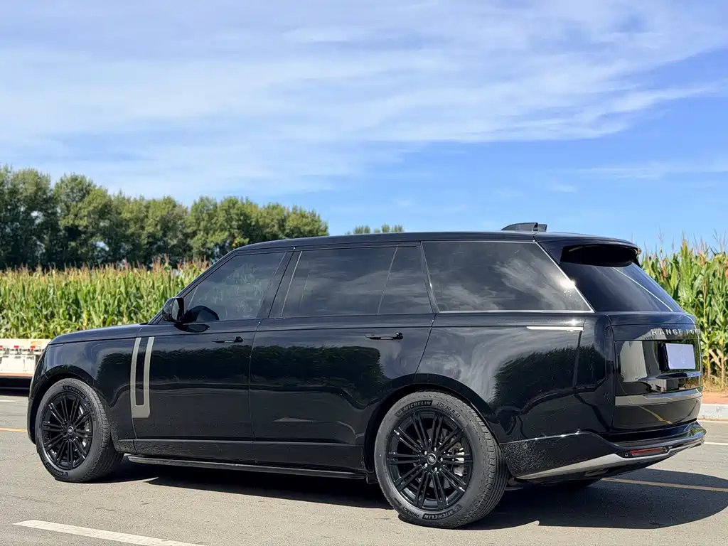 Land Rover Range Rover — миниатюра 13
