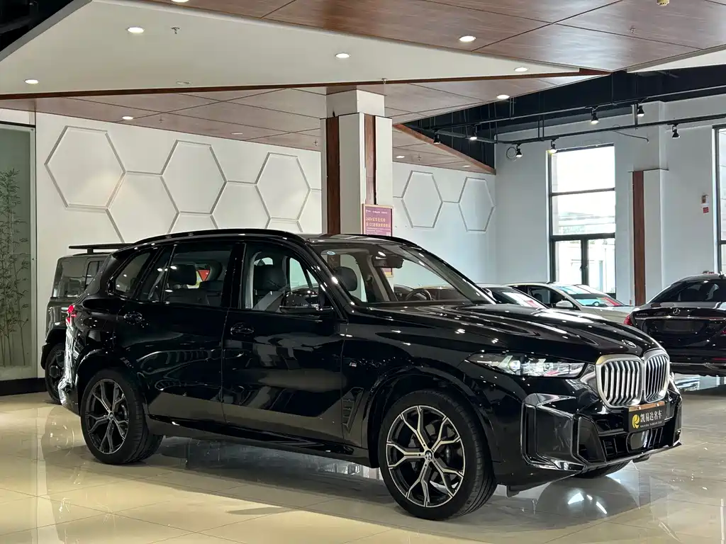 BMW X5 — миниатюра 4
