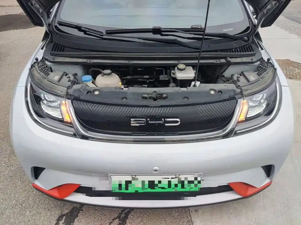 BYD Dolphin — миниатюра 20