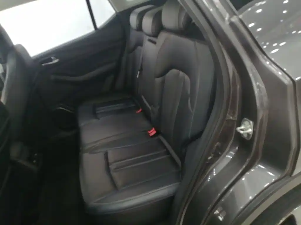 GAC Motor Trumpchi GS4 — миниатюра 17