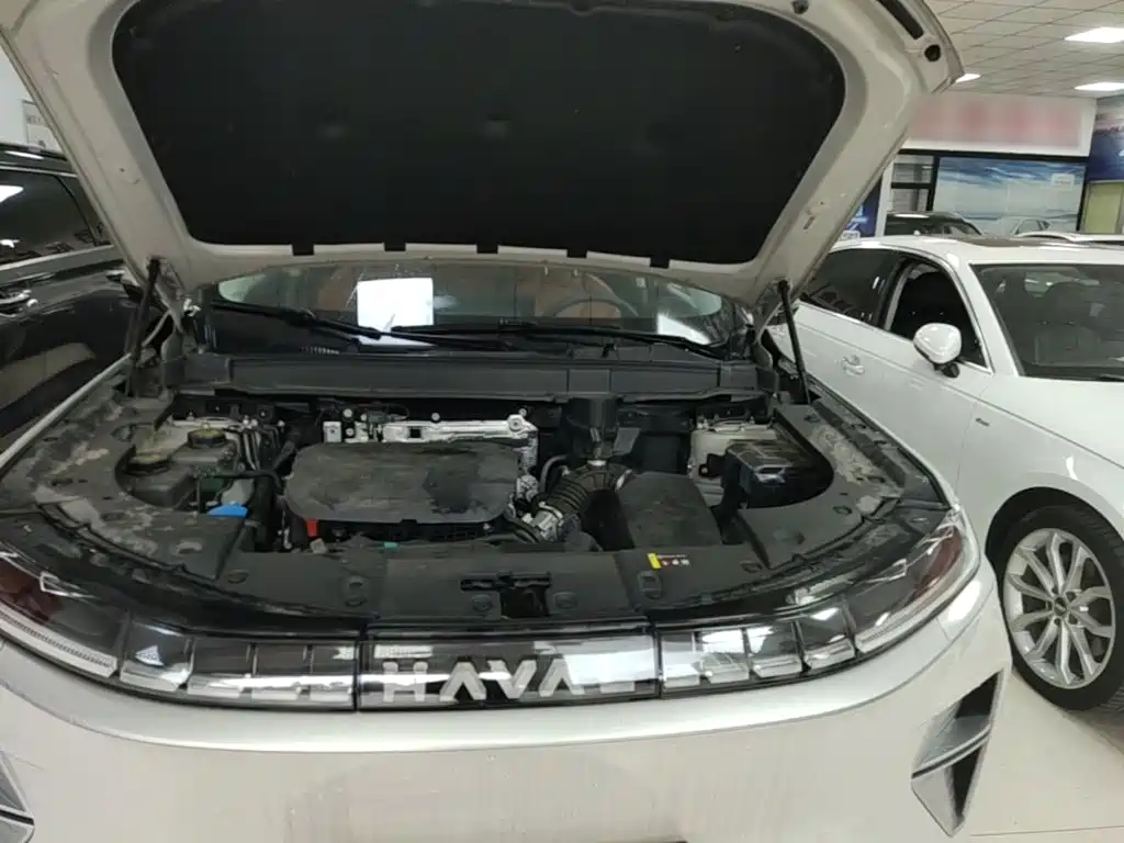 Haval Xiaolong MAX — миниатюра 20