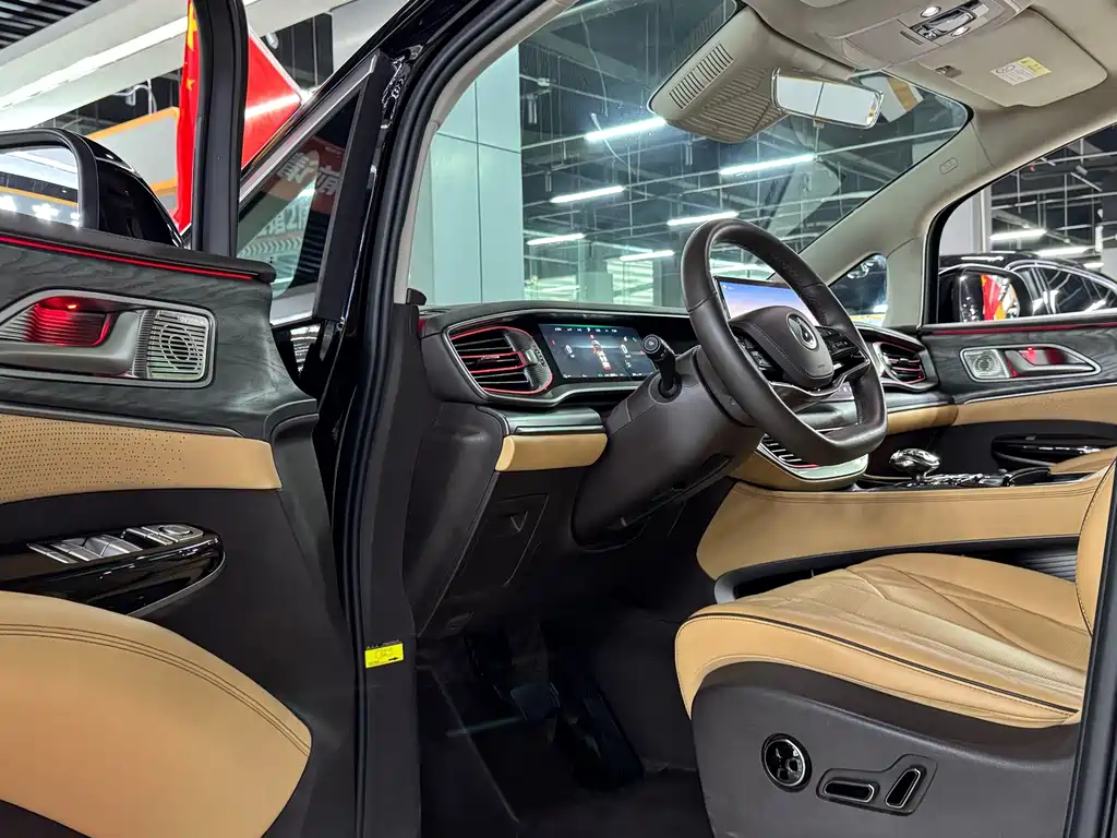 Denza Denza D9 — миниатюра 7