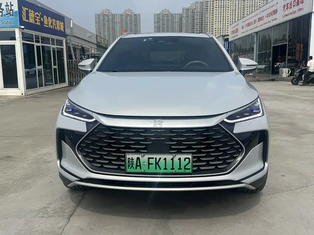 BYD Tang New Energy — миниатюра 2