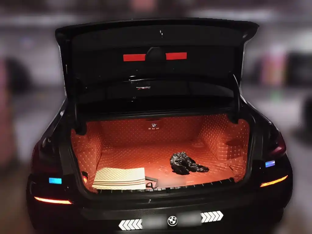 BMW 3 Series — миниатюра 15
