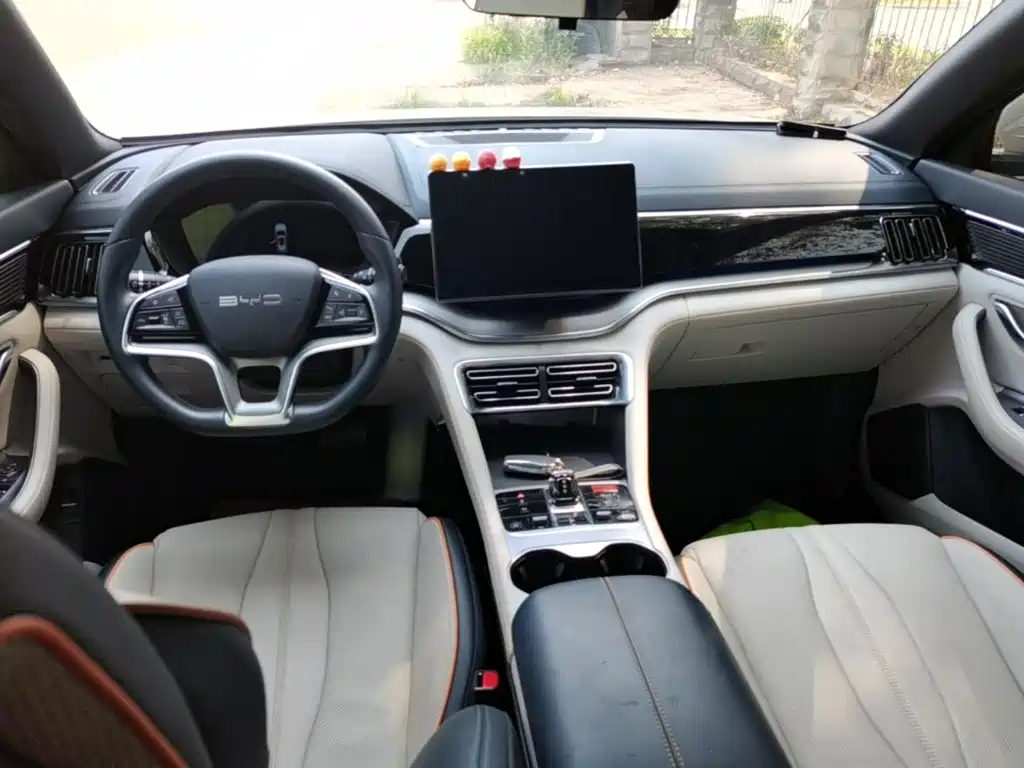 BYD PLUS New Energy — миниатюра 10